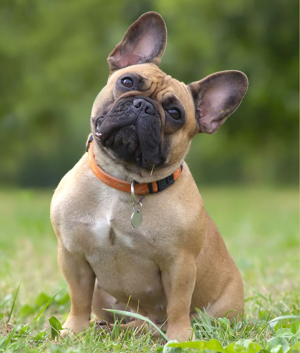 The Gossip Column: March 28, 2025